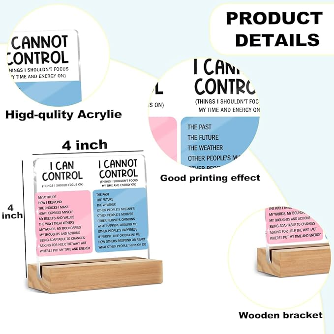 Mental Health Desk Decor Things I Can Control Acrylic Sign, Inspirational Gifts for Women Coworkers, Therapist Office Art Decor for Desk Gadgets Table Top Cubicle Living Room Bedroom Decorations 2