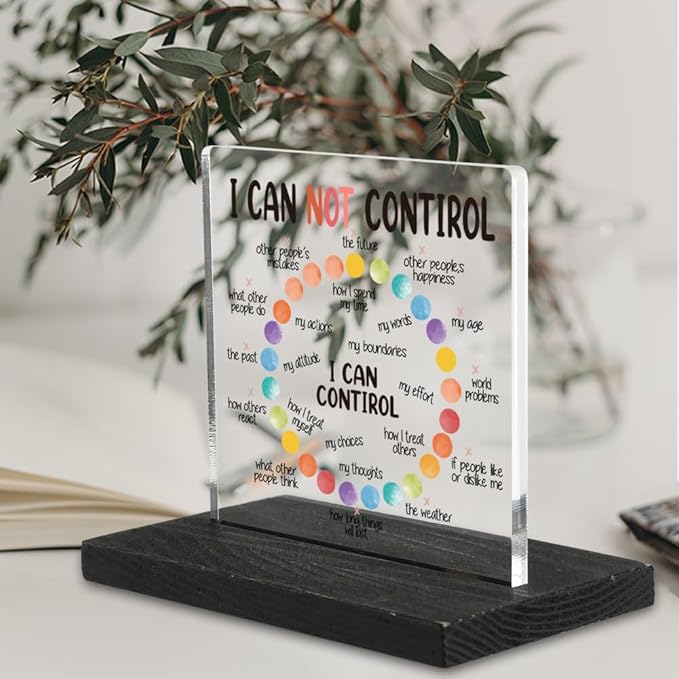 Mindset Mental Health Things I Can not Control and I Can Control Positive Affirmations Desk Decor for Women Men, School Counselor Sign Therapist Office Mindfulness Decorations Signs-DX330