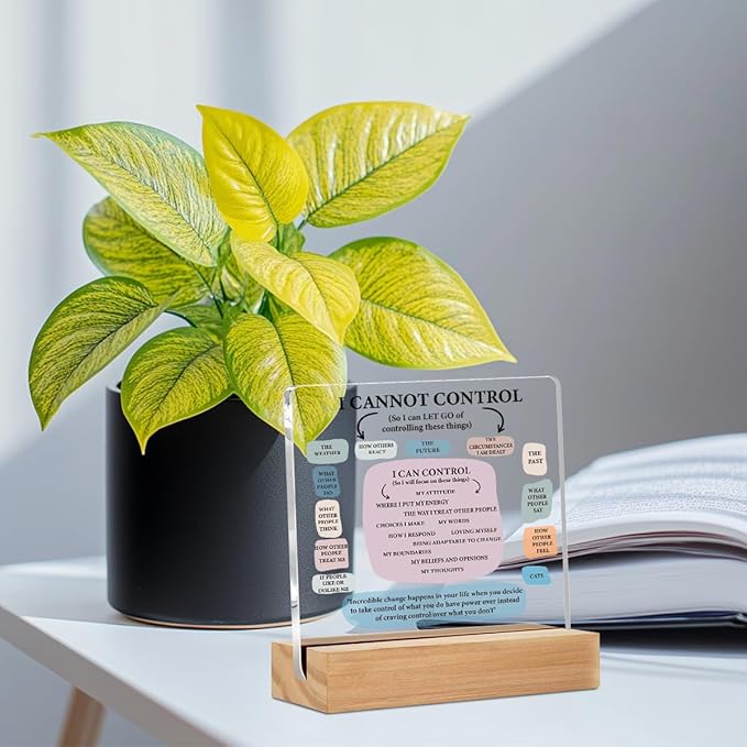 Mental Health Things Acrylic Sign, Mental Health Gifts for Women Men Psychologist Counselor, Acrylic Plaque Desk Decor, Shelf Cubicle Decor for Counseling Office Therapy Desktop Art Decoration