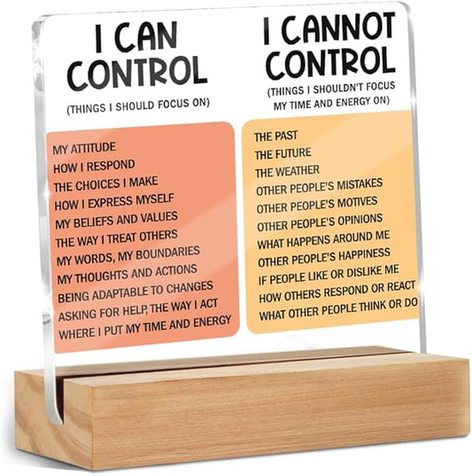 Mental Health Things I Can Control Decor Sign, Motivational Office Acrylic Sign With Wooden Stand, Thank You Gifts for Woman Coworker Nurse Friends Decorative Desk Accessories Table Shelf Decor-1