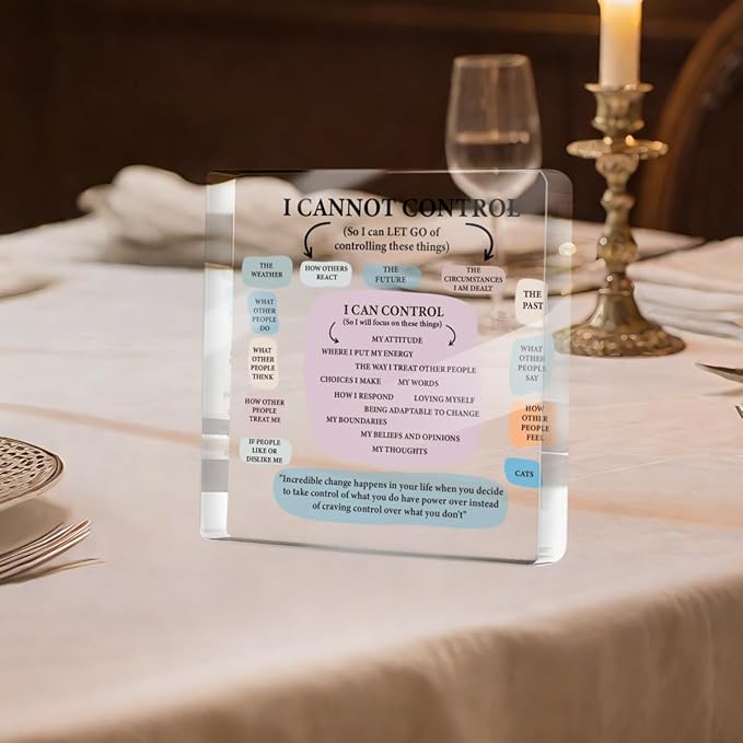 Mental Health Therapist Office Desk Decor Clear Acrylic Sign, Inspirational Gifts for Women Men Friends, Therapist Office Art Decoration for Desk Gadgets Tabletop Cubicle, Things I Can Control