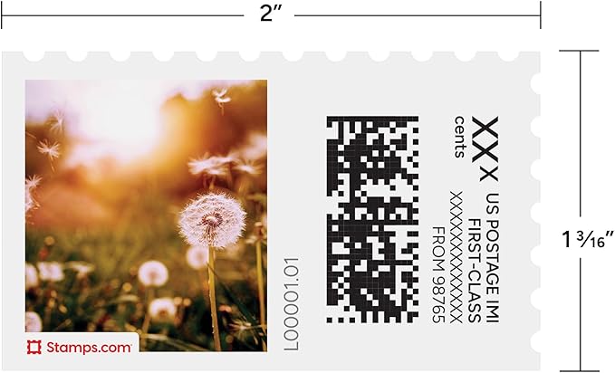 Dandelion Wishes NetStamps 120-Pack (5 Sheets) Printable Postage Labels (Stamps.com Subscription Required) - Print Approved Postage - Inkjet & Laser Printers - Business, Personal, Home