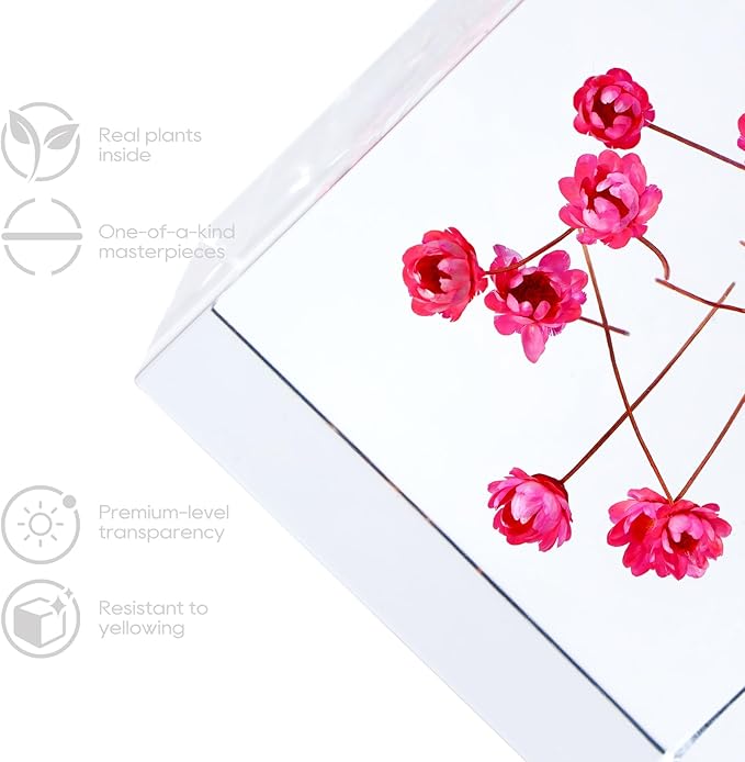 Acrylic Cube with Real Starflowers Inside 6cm Cube Colorful Aesthetic Shelf Decor Desk Decor Paperweight for Girlfriend