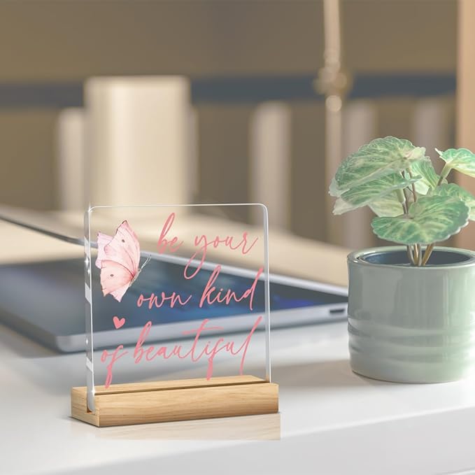 Coquette Room Gifts Pink Inspirational Awareness Positive Affirmation Sign Acrylic Sign Plaque Motivational Table Decorations for Home Living Room Bedroom