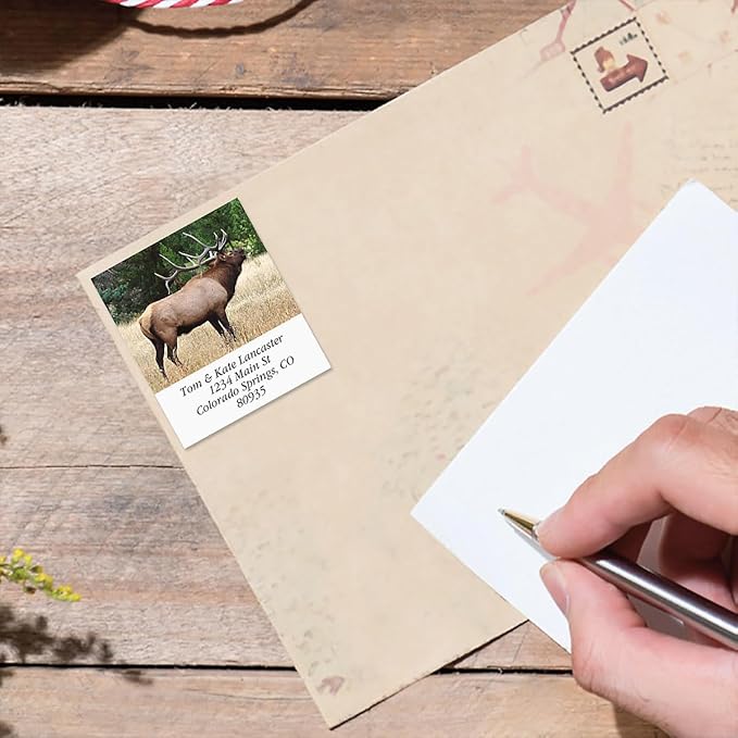 Bugling Elk Square Return Address Labels - Set of 144 1-1/8" x 2-1/4" Self-Adhesive, Flat-Sheet Labels