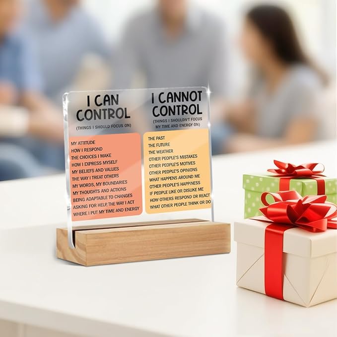 Mental Health Things I Can Control Decor Sign, Motivational Office Acrylic Sign With Wooden Stand, Thank You Gifts for Woman Coworker Nurse Friends Decorative Desk Accessories Table Shelf Decor-1