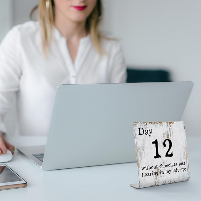 Funny Desk Signs for Work Office, funny desk signs for women office,Work Office gifts, Office Desk for Colleague Coworker Work bestie Friend, Office Humor Decor Sign Plaque XB292