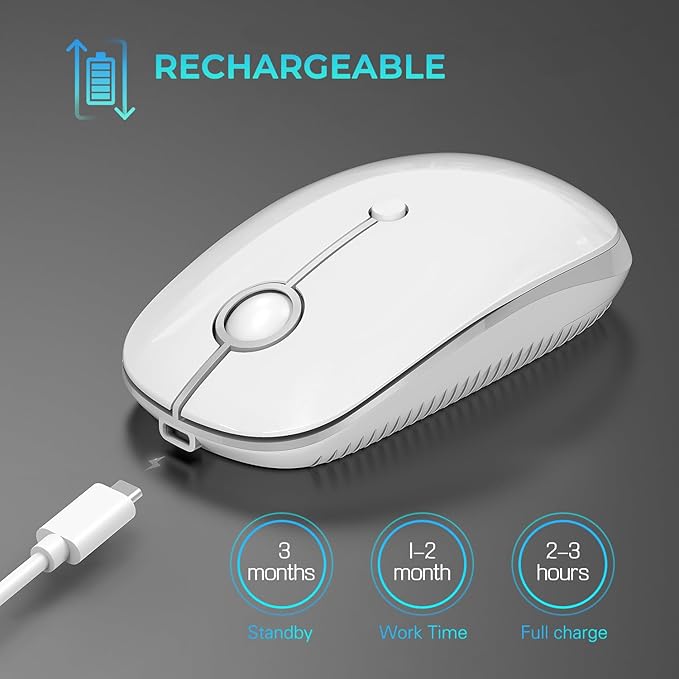 Type C Wireless Mouse，Vssoplor USB C Mouse Dual Mode 2.4G Cordless Mice with Nano USB and Type C Receiver Compatible with PC, Laptop, MacBook and All Type C Devices-White Silver