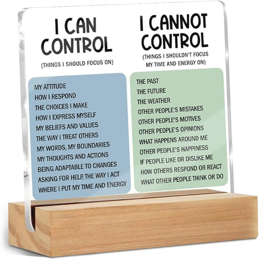 Mental Health Desk Decor Things I Can Control Acrylic Sign, Inspirational Gifts for Women Coworkers, Therapist Office Art Decor for Desk Gadgets Table Top Cubicle Living Room Bedroom Decorations 1