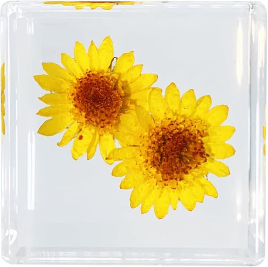Real Flower Desk Accessory Mini Resin Cube – Flower in Resin with 3D Preserved Yellow Chrysanthemum Daisy, Desk Decor for Women, Small 1.58'' (2.9 oz), Lightweight Paperweight Option