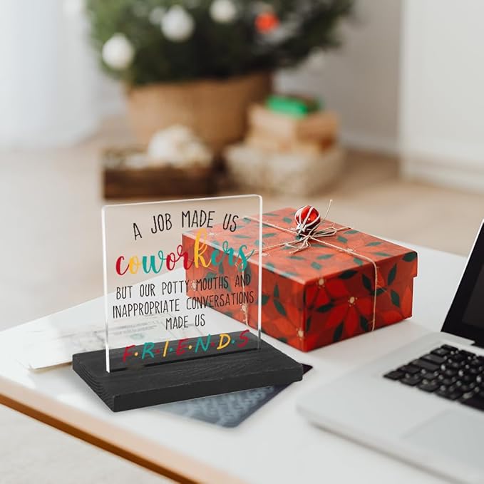 Coworker Gifts for Employee, Staff, Birthday Gifts for Women, Her, Friends, Boss, Office Gifts, Coworker Leaving Gifts for Colleagues, Women, Her, Friends,WYZ7