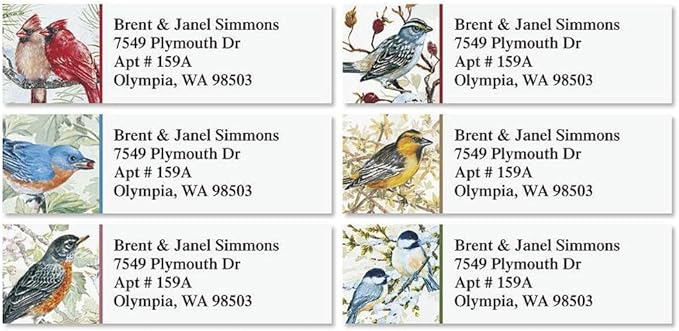 Colorful Images Garden Friends Birds Return Address Mailing Labels, Personalize with Name & Addresses, Set of 240 Self Adhesive, Easy Peel Flat Label Sheets, ⅝ x 2”, 6 Designs