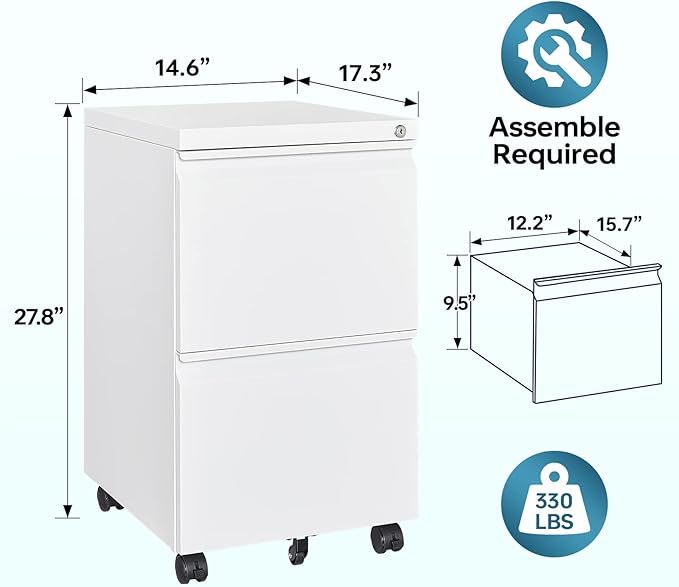 MIIIKO 2 Drawer File Cabinet with Lock, Home Office Filing Cabinets on Wheels, Under Desk 2 Drawers Storage for Legal/Letter/A4 Files,Fully Assembled