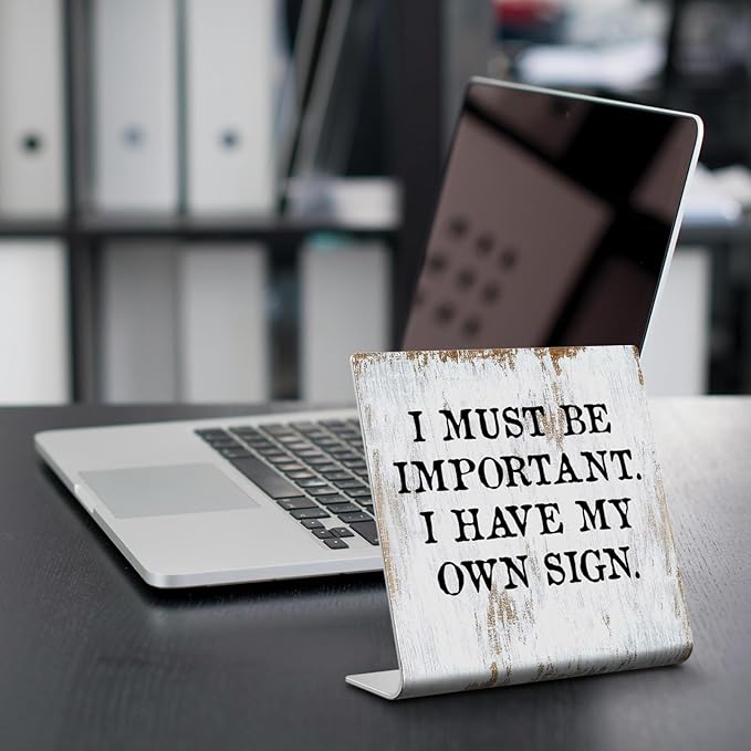 Funny Desk Signs for Work Office, I Must Be Important I Have My Own Sign,Work Office Decor for Women Men,Office Desk for Coworker Work bestie Friend, Office Humor Decor Sign Plaque XB282