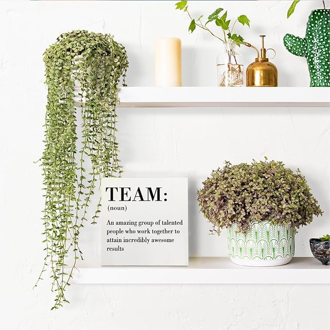 HTBIG Inspirational Team Noun Office Decor Desk Decor Wooden Box Sign Rustic White Wood Block Plaque Box Sign for Home Office Desk Shelf Table Decoration Coworker Gift Team Definition Teamwork Sign