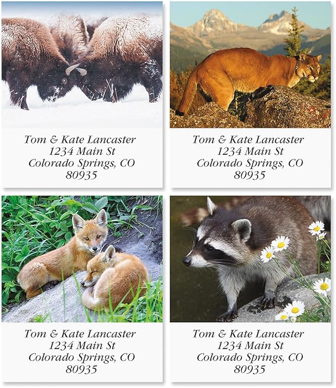 North American Wildlife Square Return Address Labels (12 Designs) - Set of 144 1-1/8" x 2-1/4" Self-Adhesive, Flat-Sheet Label
