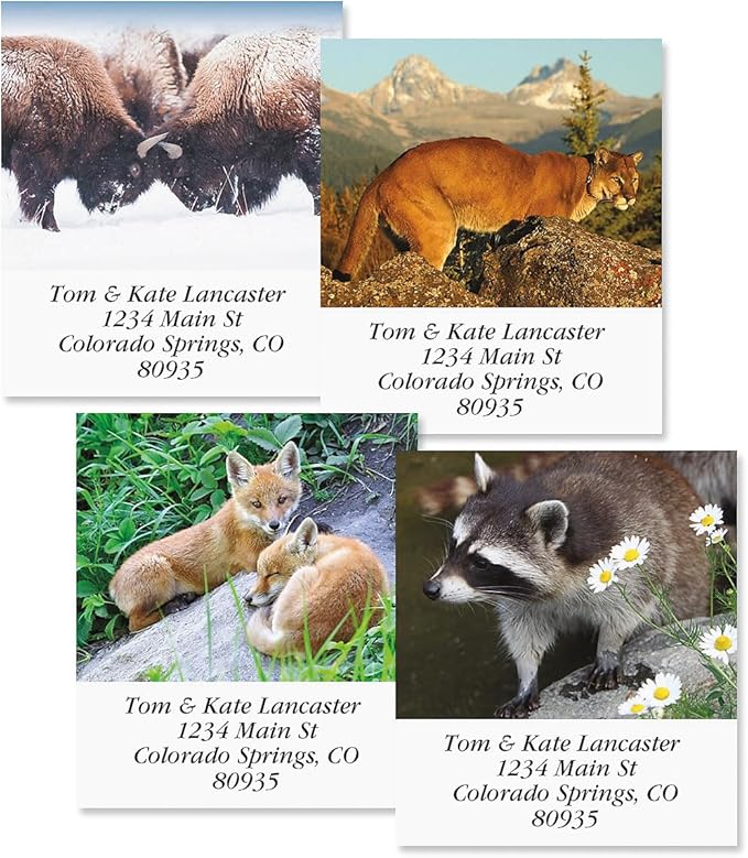 North American Wildlife Square Return Address Labels (12 Designs) - Set of 144 1-1/8" x 2-1/4" Self-Adhesive, Flat-Sheet Label