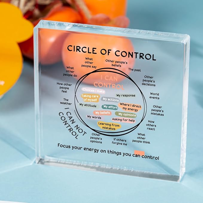 Mental Health Things I Can Control Decor - Therapy Office Acrylic Gifts - Psychology Art Decor for Treatment Room Office School Classroom - Art Decorations for Therapist Office Living Room Bedroom