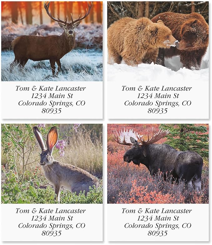 North American Wildlife Square Return Address Labels (12 Designs) - Set of 144 1-1/8" x 2-1/4" Self-Adhesive, Flat-Sheet Label