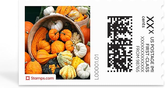 Pumpkins Galore NetStamps 120-Pack (5 Sheets) Printable Postage Labels (Stamps.com Subscription Required) - Print Approved Postage - Inkjet & Laser Printers - Business, Personal, Home