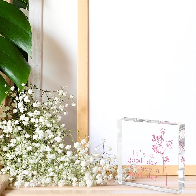 It's A Good Day to Have A Good Day Acrylic Desk Sign - 4x4 Inch Pink Lettering Office Decor for Women, Uplifting Desk Accessories & Motivational Tabletop Decor