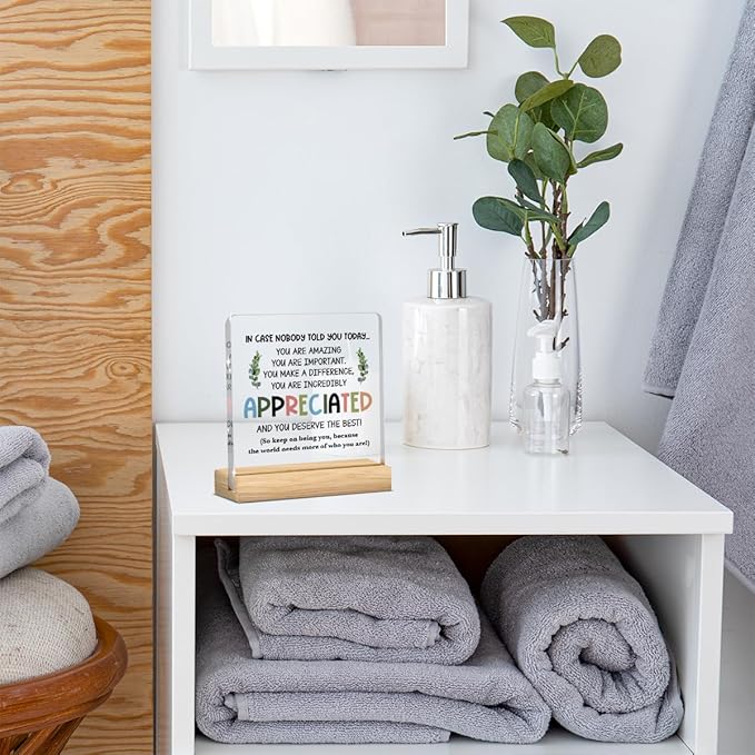 Inspirational Desk Decor, Employee Appreciation Gifts, Inspirational Gifts for Women Appreciation Gifts for Coworkers, Motivational Quote Clear Acrylic Desk Decoration for Office Home