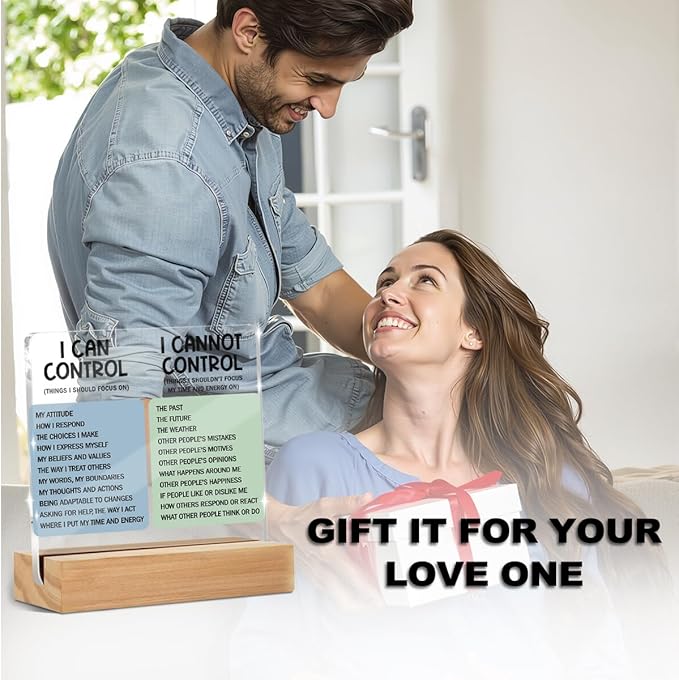 Mental Health Desk Decor Things I Can Control Acrylic Sign, Inspirational Gifts for Women Coworkers, Therapist Office Art Decor for Desk Gadgets Table Top Cubicle Living Room Bedroom Decorations 1