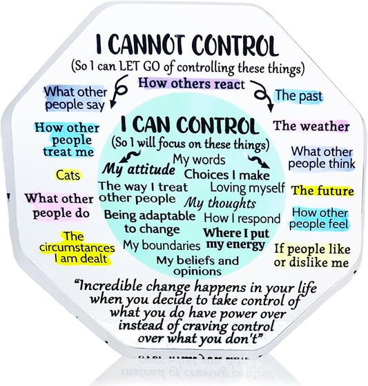 Ewong Things I Can Control Mental Health Decor, Acrylic Sign for Therapist Office, School Counselor, Psychologist Room Art Decoration, Therapy Desk Plaque for Bedroom Classroom (Octagon-Light cyan)