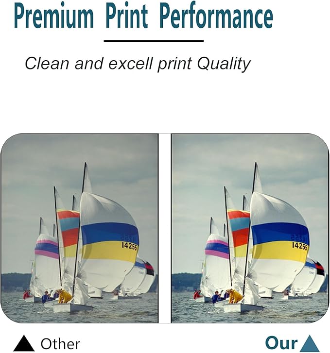 T10S Black Ink Cartridges Use for Printers WorkPorce Pro WF-C5390/WF-C5890 Color Printer 1 PCS of Black Color