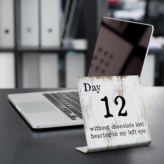 Funny Desk Signs for Work Office, funny desk signs for women office,Work Office gifts, Office Desk for Colleague Coworker Work bestie Friend, Office Humor Decor Sign Plaque XB292