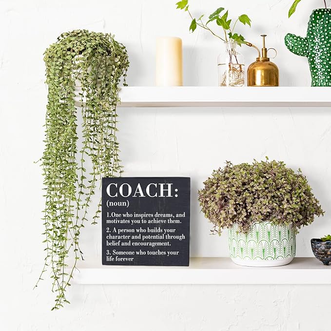 HTBIG Inspirational Coach Noun Coach Gifts Desk Decor Wooden Box Sign Rustic Black Wood Block Plaque Box Sign for Coach Mentor Trainer Tutor Home Office Desk Shelf Table Decoration Coach send friends