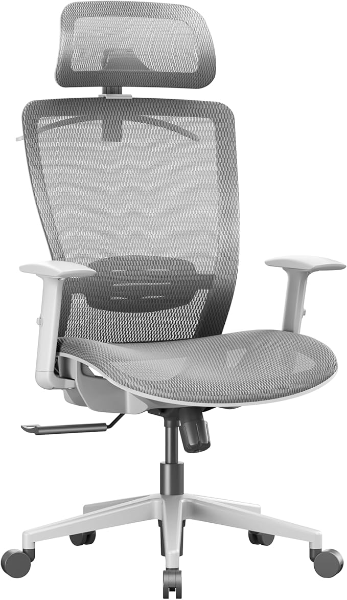 FLEXISPOT OC3 Air Ergonomic Office Chair Mesh Back Swivel Computer Chair Executive Office Desk Chairs with Adjustable Lumbar Support/2D Headrest/Lockable Backrest, Mesh Seat Cushion, Light Gray