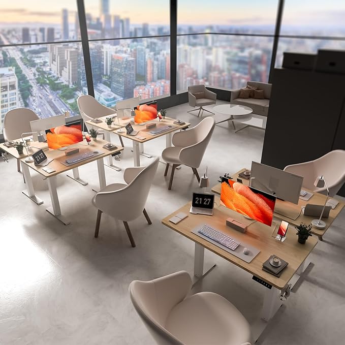 40 * 24 Electric Standing Desk, Adjustable Height Sit Stand Up Desk, Motorized Home Office Computer Gaming Workstation Desk