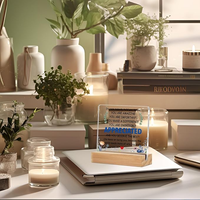Inspirational Gifts Acrylic Sign with Wood Stand, Employee Appreciation Gifts Bedroom Office Living Room Desk Cubicle Table Shelf Decor, Encouragement Gifts for Women Coworker Friends Staff