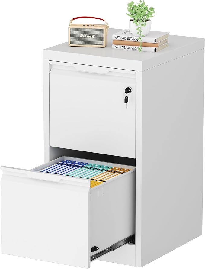 2-Drawer File Cabinet with Lock,Metal Vertical Filing Cabinets for Home Office,Under Desk File Cabinets for Letter/Legal/A4 Size Files,Easy Assemble