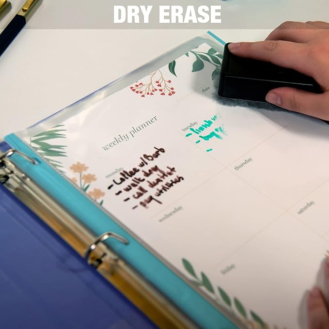 Samsill Color Edge Sheet Protectors 8.5 x 11 Inch, Page Protectors for 3 Ring Binder, Standard Weight, Clear Sheet Protector, Letter Size, Top Loading, Acid Free, 200 Pack