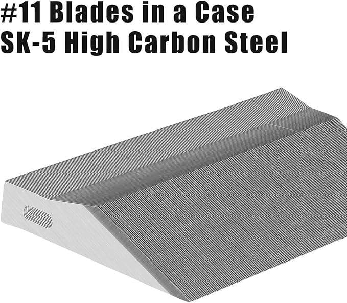 DIYSELF 300 PCS Exacto Knife Blades 11, High Carbon Steel Exacto Blades, Craft Knife Blade, #11 Exacto Knife Refill Blade with Storage Case for Scrapbooking, Stencil