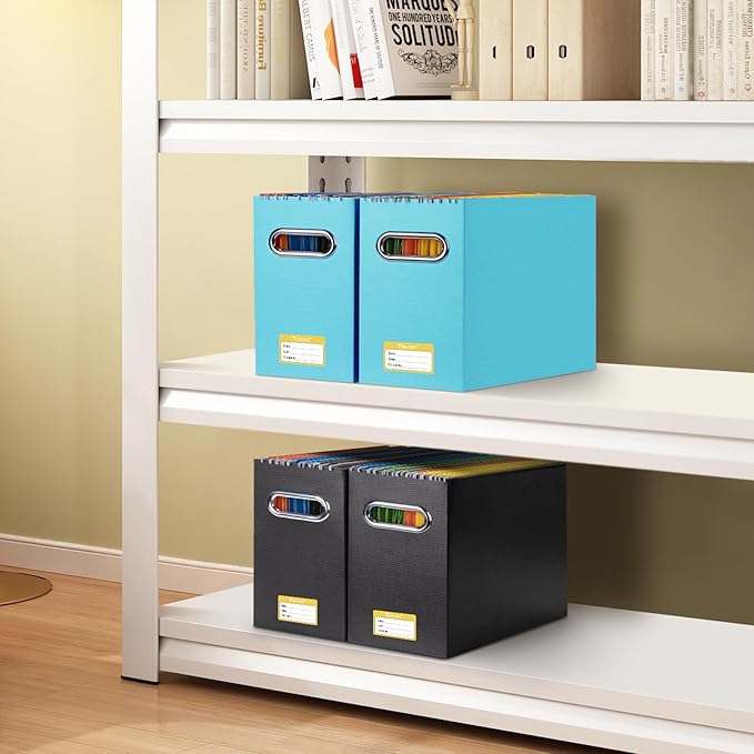 BALEINE File Organizer Box, Cardboard File Folder Organizer with Handle for Letter Size, Portable Collapsible Hanging Filing Box for Home Office Document Storage (2 Pack, Blue)