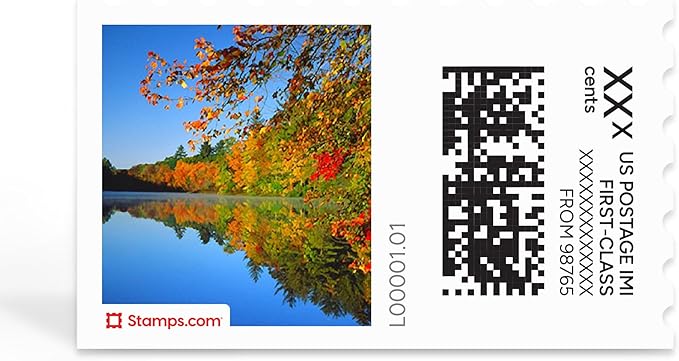 Fall River NetStamps 1200-Pack (50 Sheets) Printable Postage Labels (Stamps.com Subscription Required) - Print Approved Postage - Inkjet & Laser Printers - Business, Personal, Home