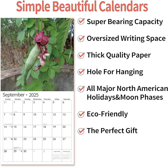 2025 Wall Calendar Funny Natures Dongs, January 2025 - December 2025, Funny Gag Gift for Adults, White Elephant Gift, 12 Months Organizer with D'ck Pics Nature Photos, 12" x 24" Opened