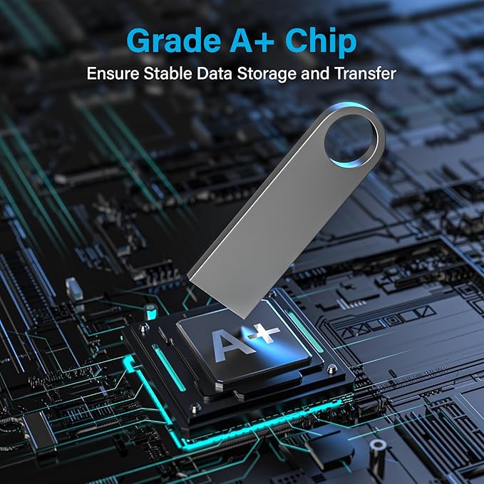 ABLAZE Custom Flash Drive 256MB 10 Pack, Personalized USB with Your Logo Metal Thumb Drives USB 2.0 Memory Stick Pendrive (Sliver)