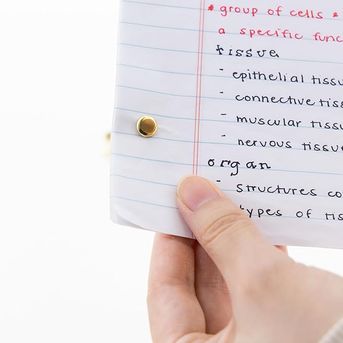 BAZIC Products Brass Plated Fasteners 1/2 Inch, Round Head Paper Fastener Brads for Office School Organization Scrapbooking Art and Crafts (100/Pack), 2-Pack