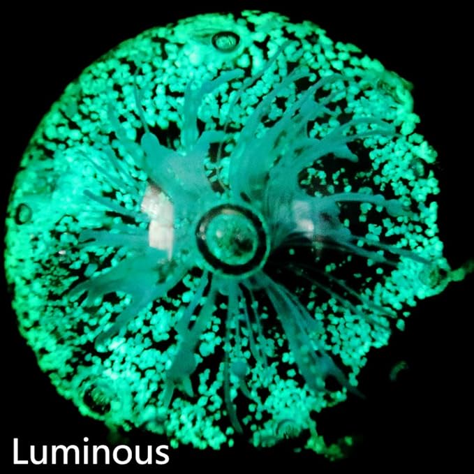 EUSTUMA Blue Hand Blown Glass Anemones Sculpture, 3.15x3.15x3.15 inches, 1.52 lbs, Paperweight, Fish Tank Ornament, Figurine Gift Box, Home Decoration