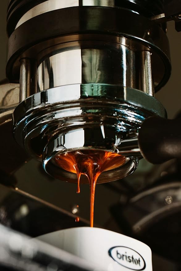 Bristot Decaf Italian Coffee Beans – Medium Roast Whole Espresso Beans – Smooth & Rich Flavor – 1.1 lb (500g) Bag – Roasted in Italy