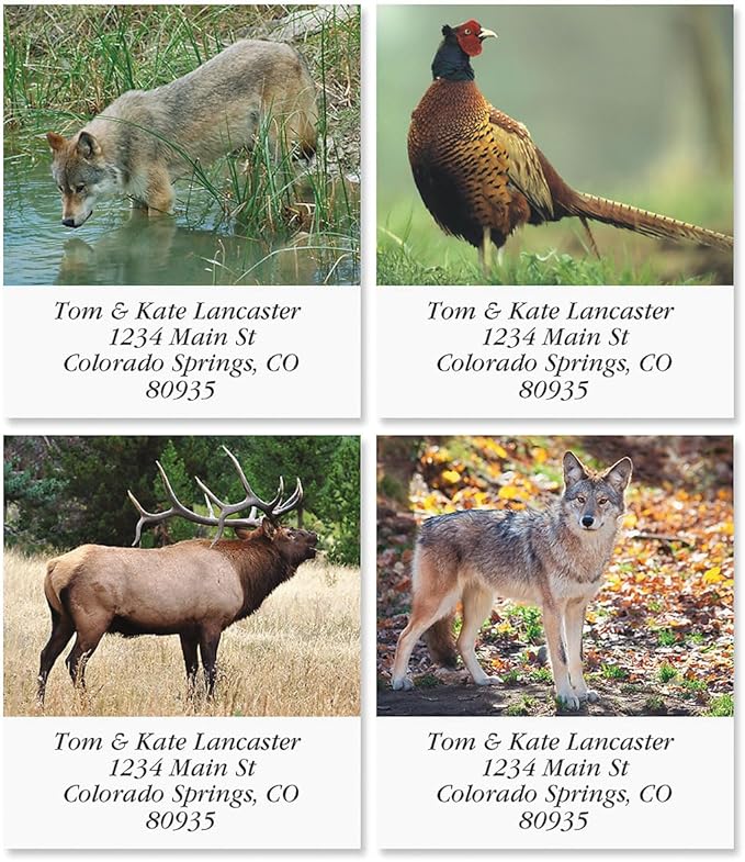 North American Wildlife Square Return Address Labels (12 Designs) - Set of 144 1-1/8" x 2-1/4" Self-Adhesive, Flat-Sheet Label