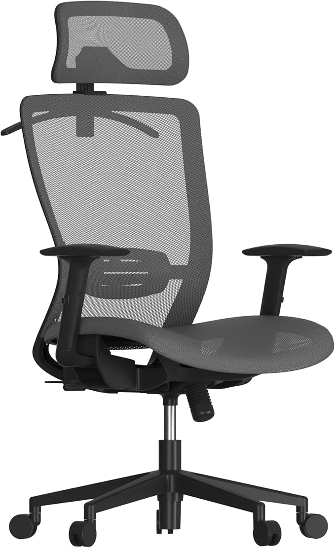 FLEXISPOT Ergonomic Office Chair, High Back Mesh Swivel Computer Chair, Executive Office Desk Chairs, with Adjustable Lumbar Support/2D Headrest/Lockable Backrest, OC3 Mesh Seat, Gray