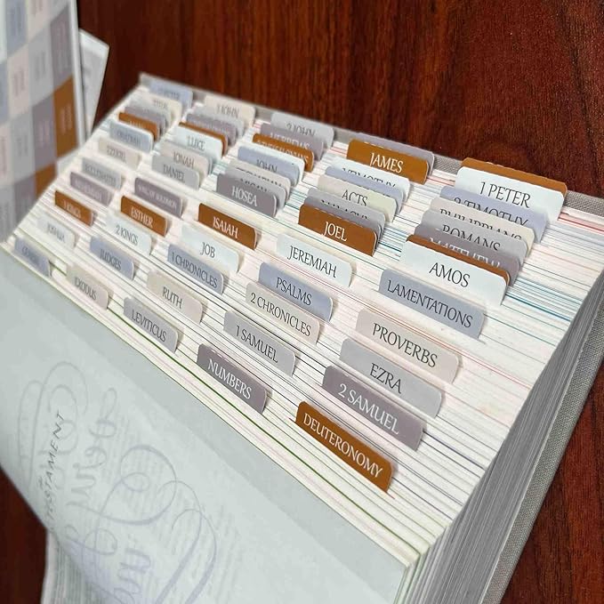 Thinkor Reposition Laminated Bible Tabs, Large Print Stickers, Easy to Read & Apply Bible Tabs for Women & Man (Winter Snow)