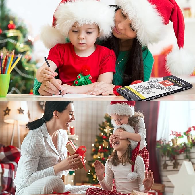 Drawing Sketching Pencils Set, 12 Pack Graphite Pencils(14B - 2H), Ideal for Drawing Art, Sketching, Shading, Artist Pencils for Beginners & Pro Artists