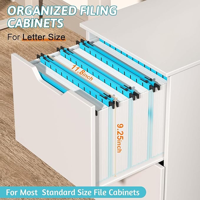 Plastic Hanging File Folder Extra Capacity,12 Pack Reinforced Hang Folders with Heavy Duty 2 Inch Expansion,Filing Cabinet Folders Letter Size,Hanging Organizer Designed for Bulky Files(Blue)