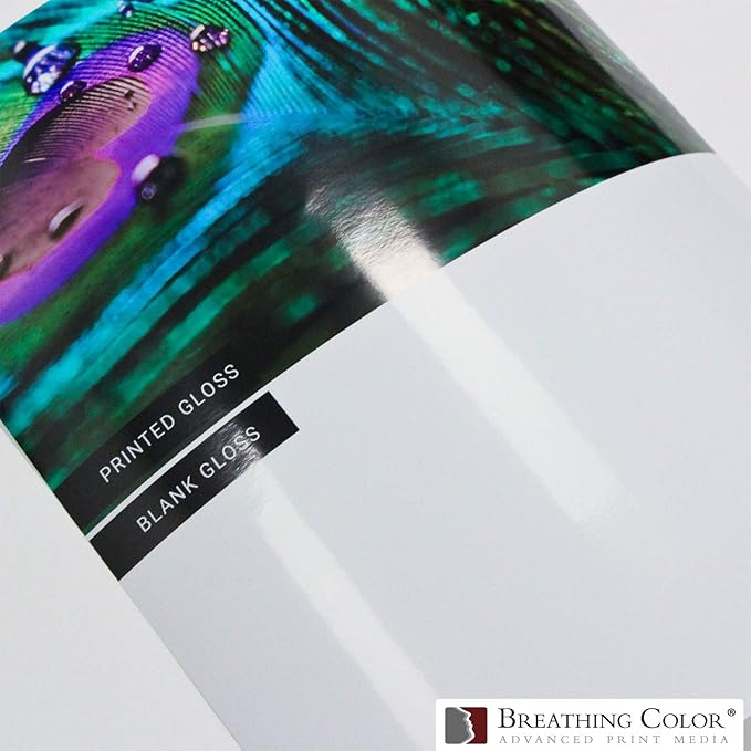 Vibrance Gloss Photo Printer Paper 10 mil 255 gsm Glossy Finish Premium Photo Paper Roll on 3inch Core 36 inches x 100 feet Works with Most Inkjet Printers Including Professional Makes and Models